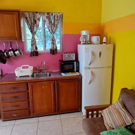 Fish Tobago Guesthouse Or Joy And Brandon Guesthouse Buccoo エクステリア 写真