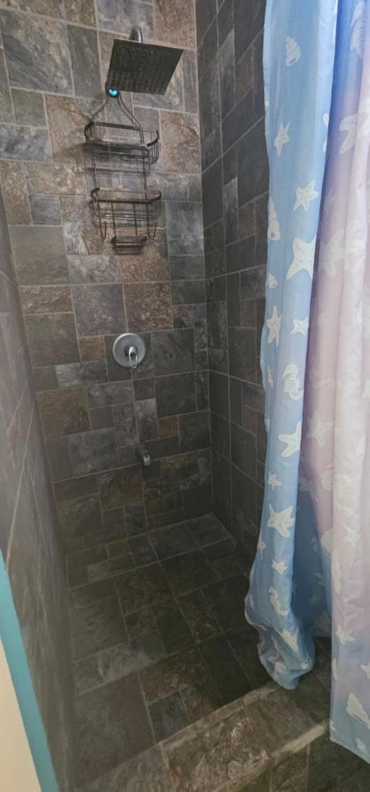 Fish Tobago Guesthouse Or Joy And Brandon Guesthouse Buccoo 部屋 写真