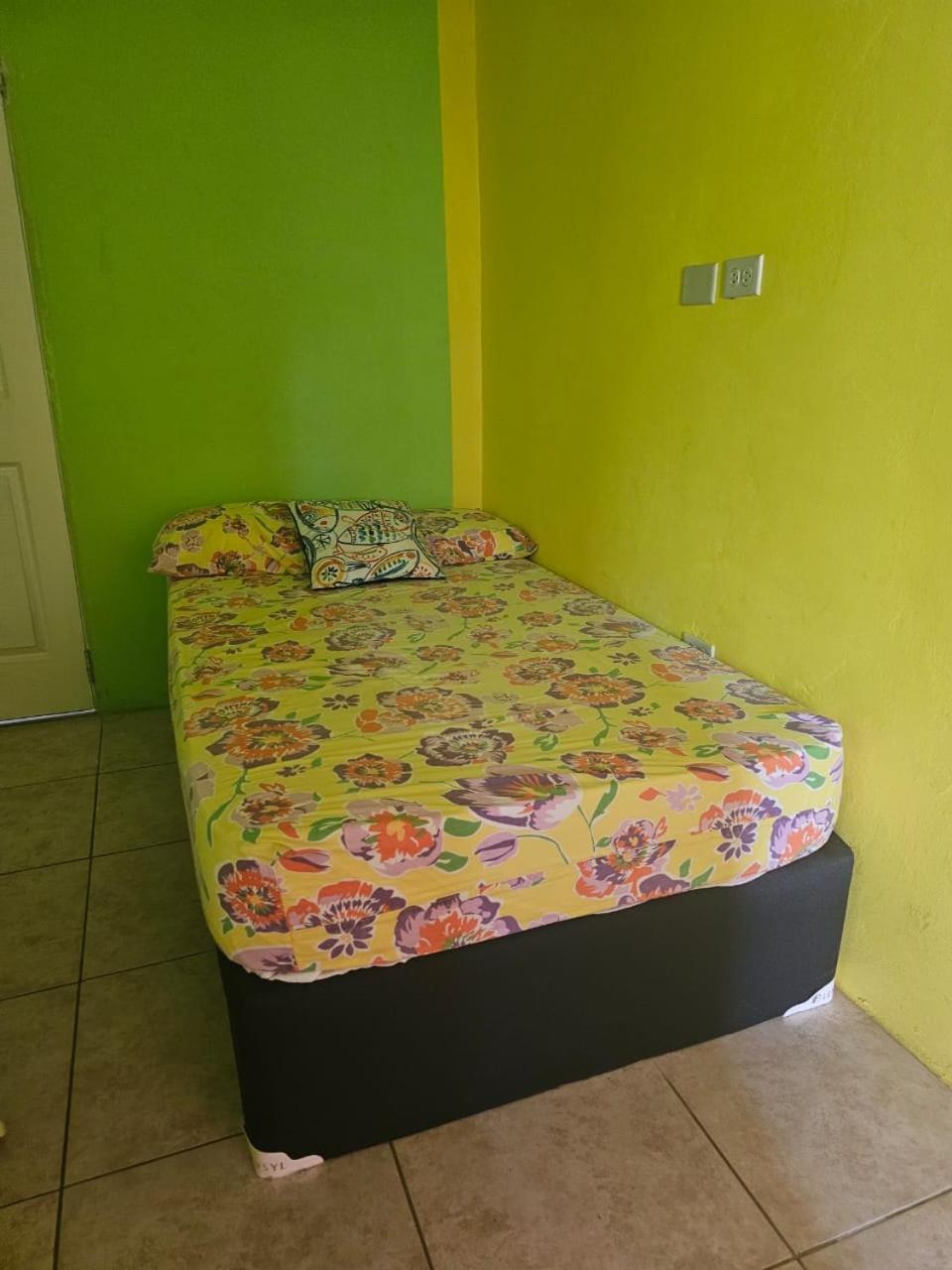 Fish Tobago Guesthouse Or Joy And Brandon Guesthouse Buccoo 部屋 写真